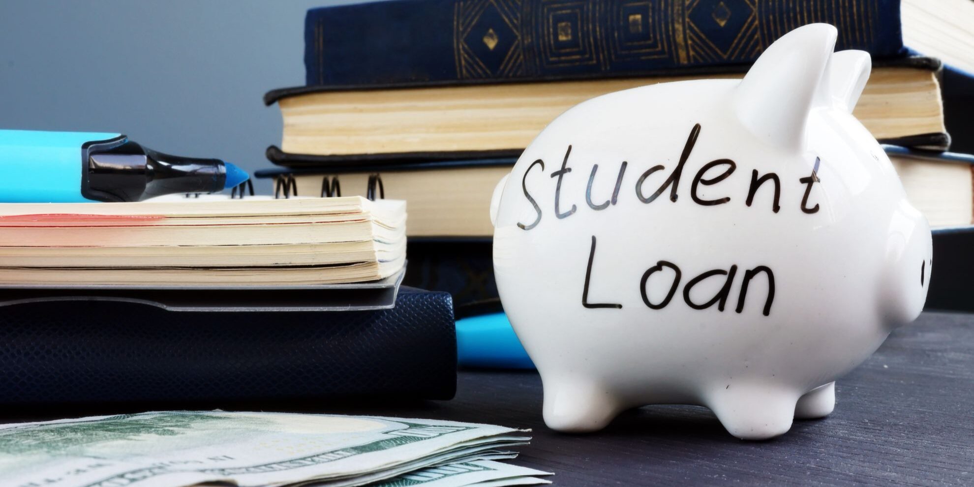 Are student loans too big